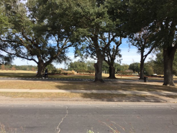 Audubon Park, Magazine St, New Orleans