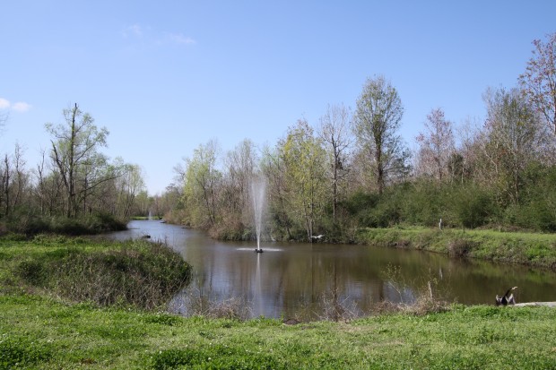 The Arbors Estates, New Orleans LA