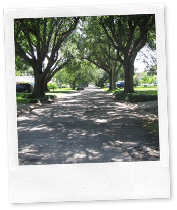 Old Aurora | New Orleans West Bank Neighborhood