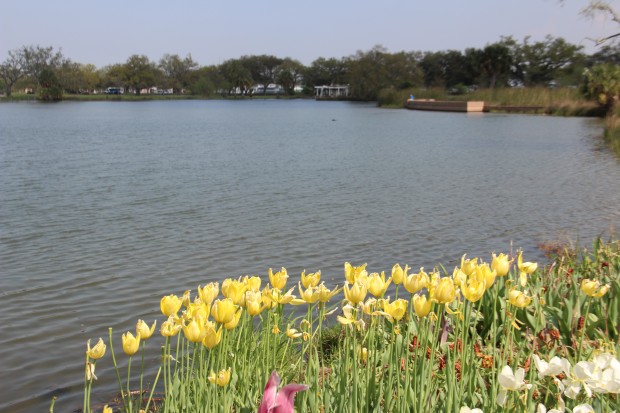 City Park New Orleans - Spring 2015