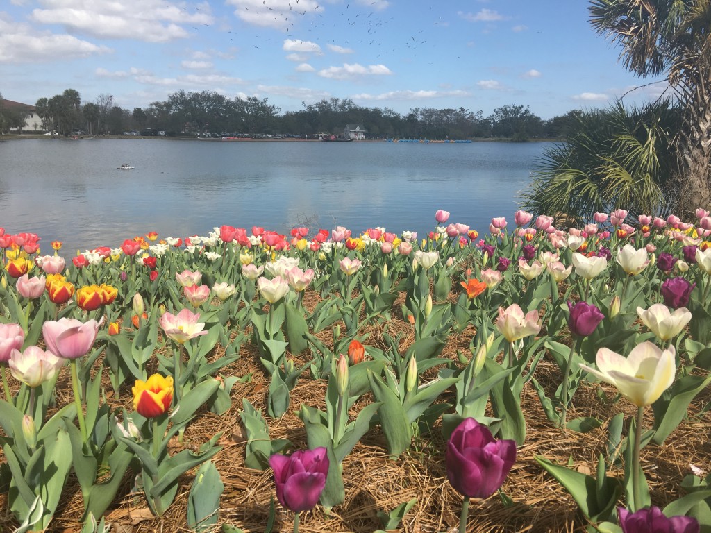 spring in new orleans