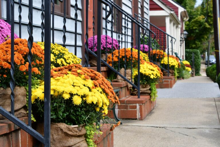 home selling curb appeal